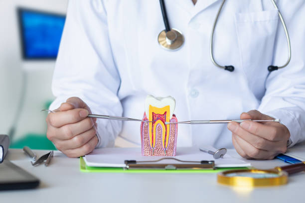 Best Emergency Tooth Extraction in Chisago City, MN